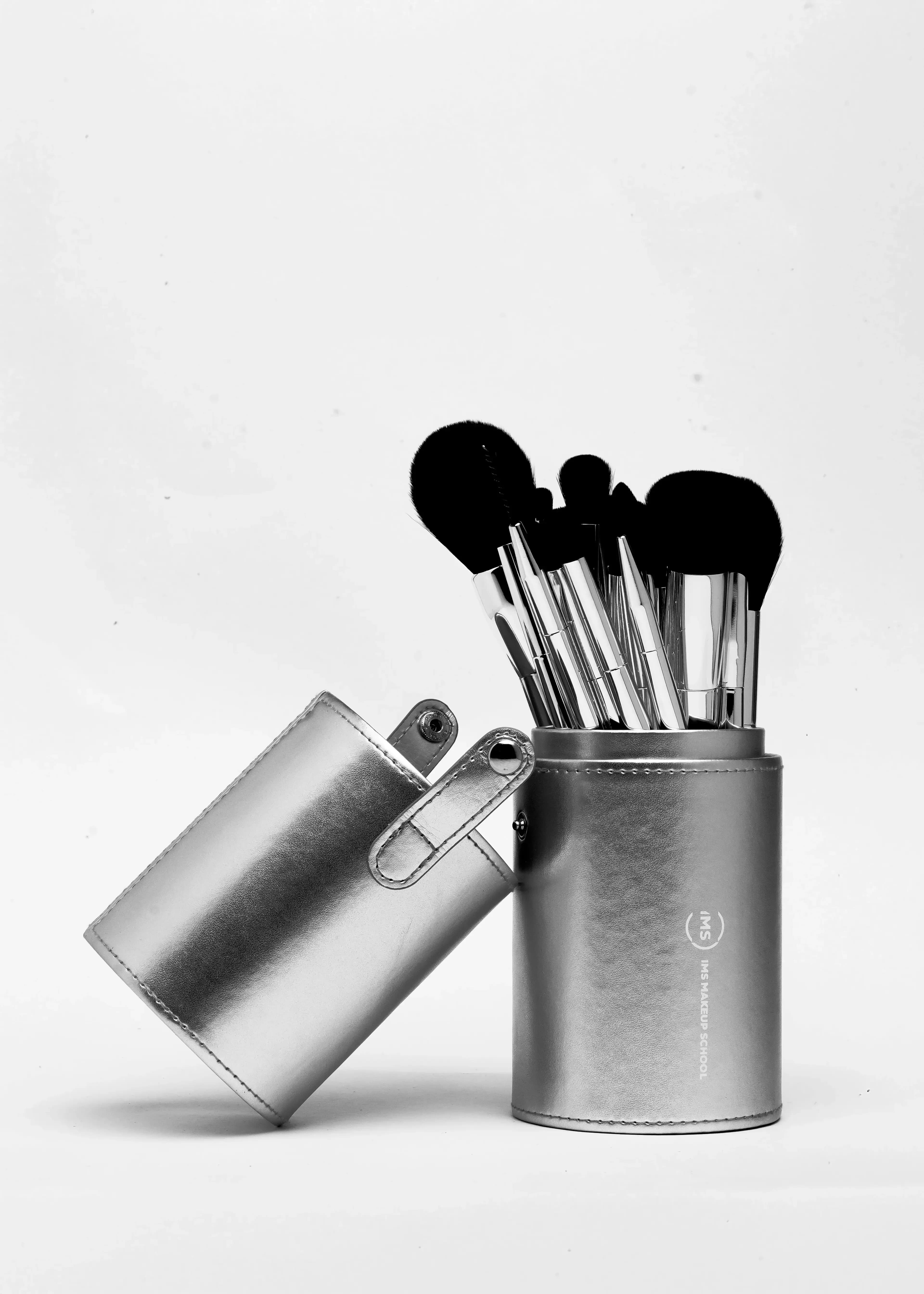 IMS Professional Brush Set